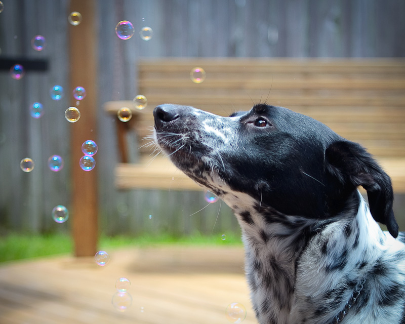 sophie-bubbles