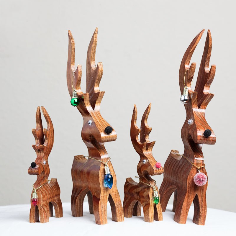 austin photographer 365 photo project reindeer family