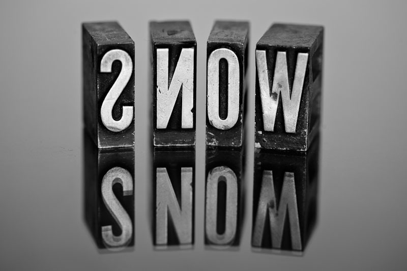 austin photographer 365 photo project snow typsetting