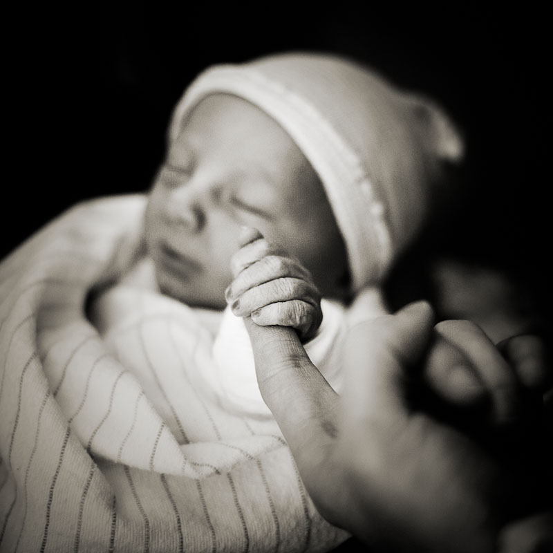 baby 365 photography